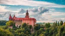 W Książańskim Parku Krajobrazowym znajdują się tajemnicze znaki na drzewach