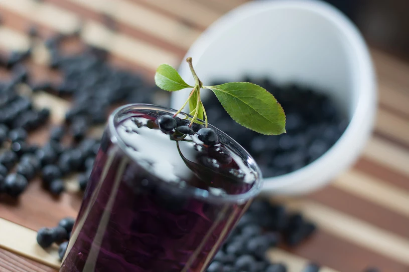 Aronia z powodzeniem będzie zdobić ogród działkowy, jak również ten przydomowy Aronia z powodzeniem będzie zdobić ogród działkowy, jak również ten przydomowy