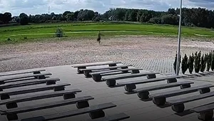 Wielkopolskie: Chcieli ukraść skarbonę z kościoła. Przyłapał ich ksiądz