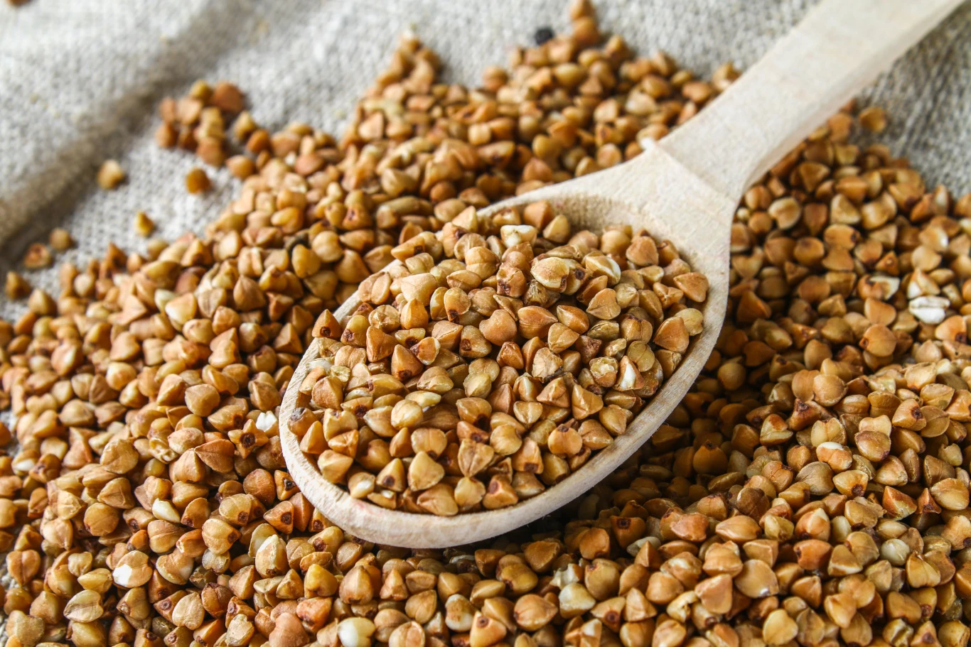 Wyrazisty smak kaszy gryczanej powoduje, że niektórzy potrzebują więcej czasu, by się do niej przekonać