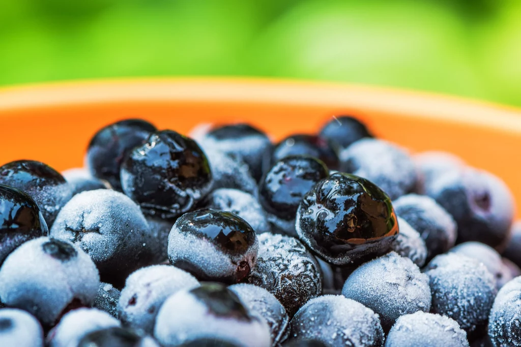 Aronia to najzdrowszy owoc jagodowy Aronia to najzdrowszy owoc jagodowy