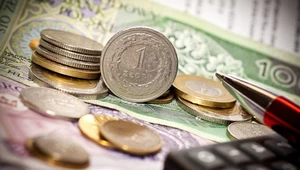 Ile kosztują euro, dolar i frank 29.04.2025 r.? Zdj. ilustracyjne