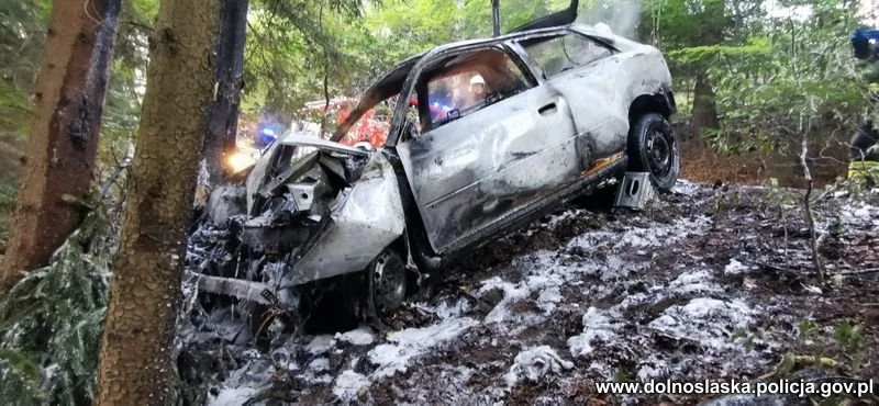 Auto spaliło się doszczętnie