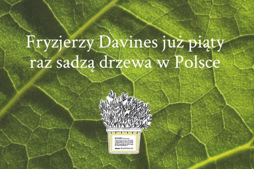 ​Fryzjerzy Davines sadzą drzewa w trosce o zielone płuca Polski