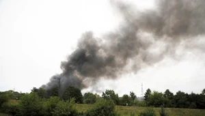 Zagrożenie pożarowe w polskich lasach. "Sytuacja jest poważna"