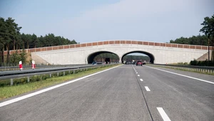 Górne przejścia dla zwierząt z poziomu drogi wyglądają tak