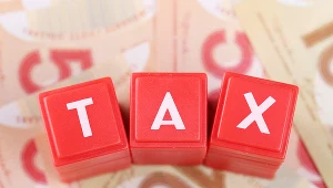 Banki, petrochemia i handel to najwięksi podatnicy CIT w Polsce