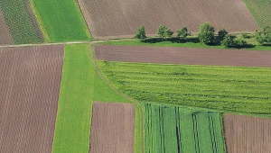 Myślisz o budowie? Brak uzbrojenia terenu to problem