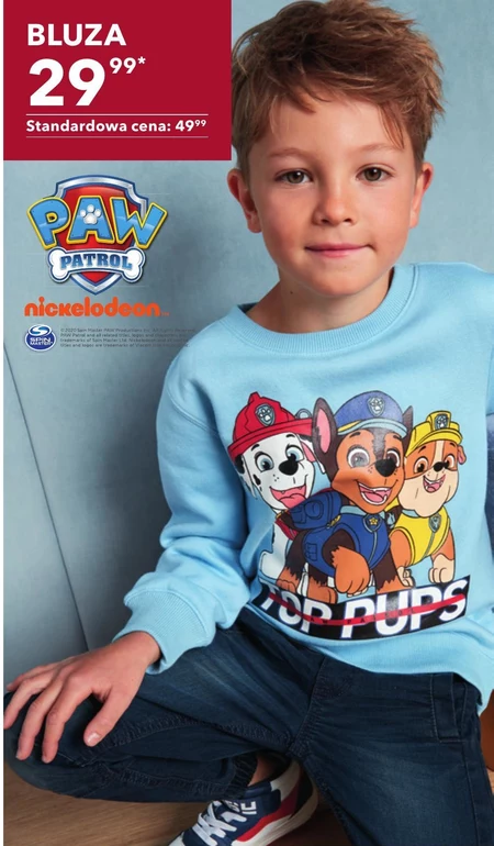 Bluza chłopięca Psi Patrol