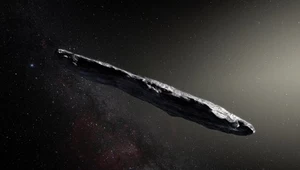 1I/ʻOumuamua to tylko "pyłek kurzu"