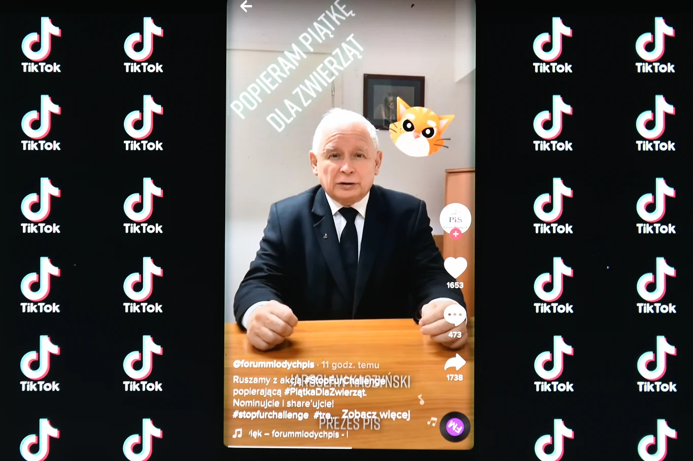 Jarosław Kaczyński na TikToku Jarosław Kaczyński na TikToku