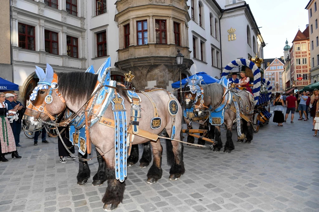 Co ciekawe, to nie pierwszy raz, gdy Oktoberfest odwoływany jest z powodu epidemii. W 1854 i 1873 roku szalejąca w Niemczech cholera sprawiła, że piwny festiwal organizowany w Monachium nie odbył się. To cieszące się ponad 200-letnią tradycją wydarzenie odbyło się po raz pierwszy z okazji ślubu bawarskiego księcia Ludwika i księżniczki Therese von Sachsen-Hildburghausen. Pierwsza edycja zupełnie nie przypominała współczesnego festiwalu piwa. Miała bowiem charakter sportowy. Na terenach przed murami miasta odbywały się wyścigi konne. Co ciekawe, to nie pierwszy raz, gdy Oktoberfest odwoływany jest z powodu epidemii. W 1854 i 1873 roku szalejąca w Niemczech cholera sprawiła, że piwny festiwal organizowany w Monachium nie odbył się. To cieszące się ponad 200-letnią tradycją wydarzenie odbyło się po raz pierwszy z okazji ślubu bawarskiego księcia Ludwika i księżniczki Therese von Sachsen-Hildburghausen. Pierwsza edycja zupełnie nie przypominała współczesnego festiwalu piwa. Miała bowiem charakter sportowy. Na terenach przed murami miasta odbywały się wyścigi konne.