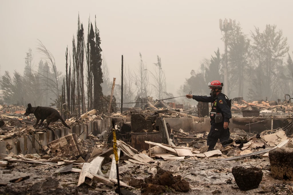 Kalifornia jest w środku egzystencjalnego klimatycznego kryzysu – powiedział gubernator stanu. Kalifornia jest w środku egzystencjalnego klimatycznego kryzysu – powiedział gubernator stanu.