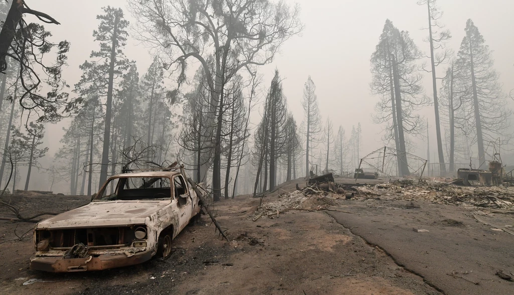 Pożary w USA mają historyczny zasięg i najbardziej dotknęły Oregon, Waszyngton oraz Kalifornię.