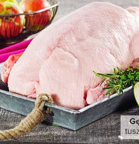 Gęś