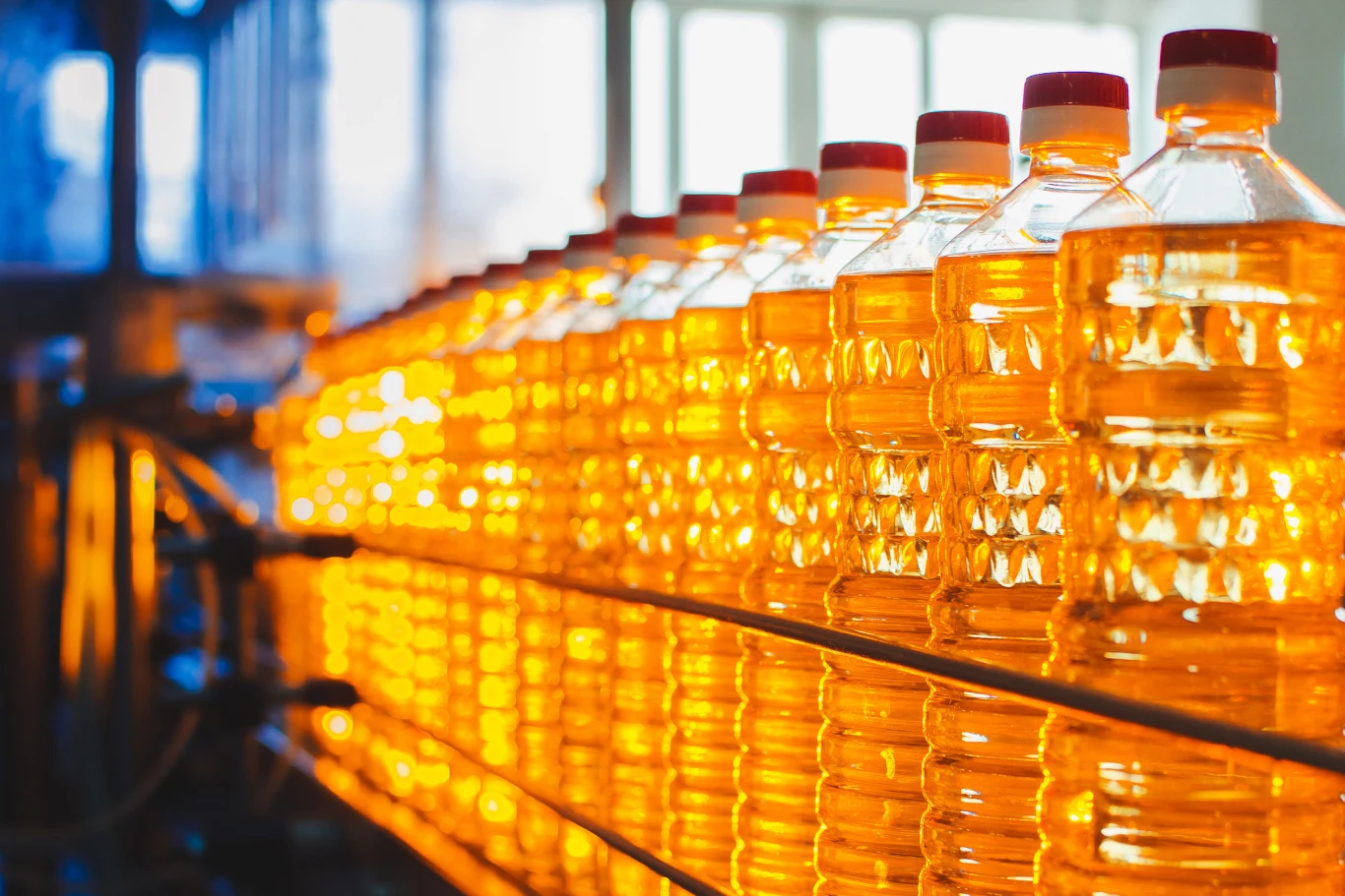 Olej rzepakowy to nasza "polska oliwa". Warto go włączyć do diety zamiast tłuszczów roślinnych Olej rzepakowy to nasza "polska oliwa". Warto go włączyć do diety zamiast tłuszczów roślinnych