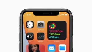 iOS 14 - nowa wersja sytemu jest powszechnie dostępna