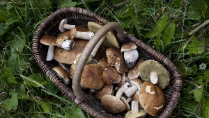 Zdjęcie ilustracyjne