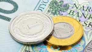 W przyszłym tygodniu dla notowań złotego ważne będą wrześniowe PMI ze strefy euro