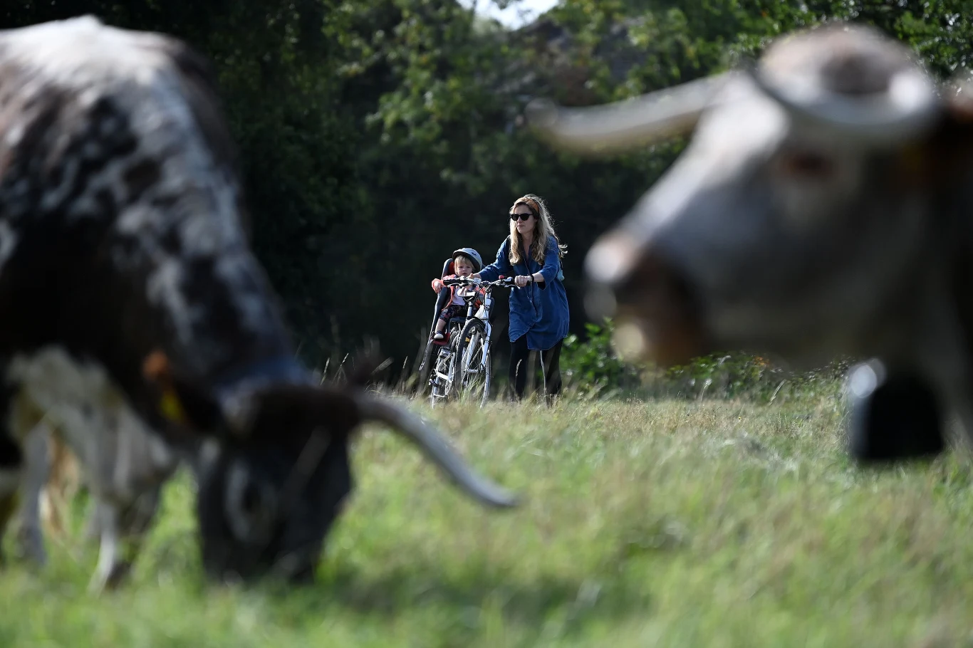 Ze względu na duże zakwaszenie gleby ingerencja człowieka może takiej równowadze zaszkodzić. 