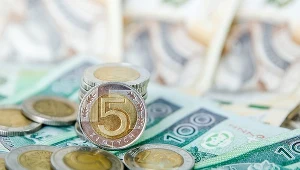 Złoty najsłabszy od lipca