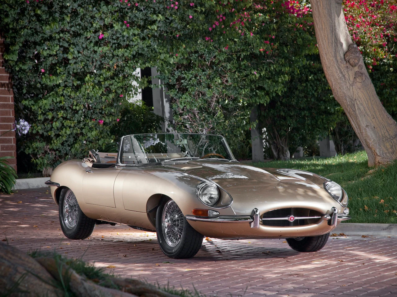 E-Type to prawdziwa ikona motoryzacji i prawdopodobnie najbardziej rozpoznawalny model w historii Jaguara. Jego smukła sylwetka z długą maską i niewielką kabiną od 1961 roku cieszy oko pasjonatów motoryzacji. Samochód był produkowany do 1975 roku, a jego ostatnia, 3. generacja dysponowała silnikiem V12 o pojemności 5,3 l. Na drogi wyjechało łącznie ponad 30 tys. Jaguarów E-Type w wersji roadster, znanej również jako OTS – Open Two Seater. 