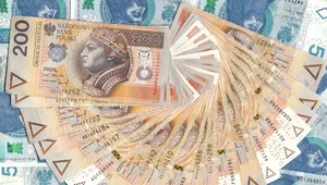 ​Deficyt budżetu państwa po sierpniu wyniósł 13,3 mld zł 