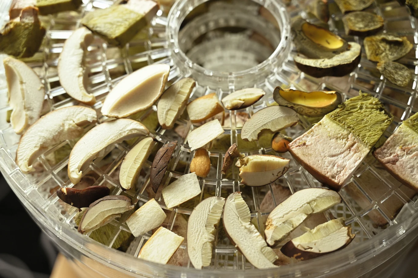 Internauci zwrócili uwagę na ogrom pracy związany z tak obfitymi zbiorami Internauci zwrócili uwagę na ogrom pracy związany z tak obfitymi zbiorami