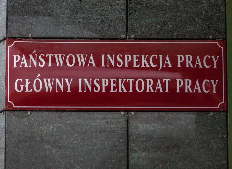 Państwowa Inspekcja Pracy Państwowa Inspekcja Pracy
