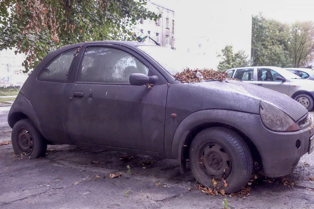 Niektóre wraki dogorywają na parkingach, z innych zostały szczątki po lasach. Jeszcze inne zostały rozebrane na części. W sumie to 8 mln aut