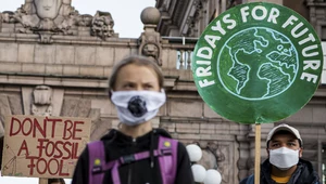 Greta Thunberg brała udział w swoim ostatnim szkolnym strajku dla klimatu