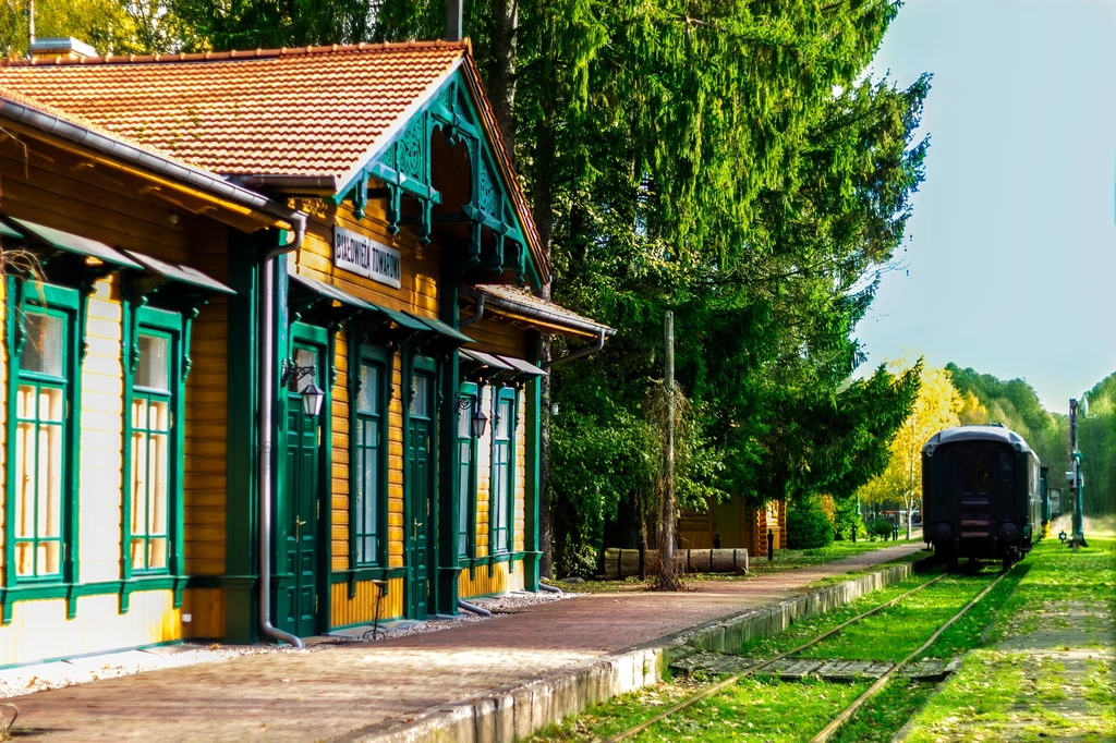 Na odrestaurowanej stacji Białowieża Towarowa można obejrzeć zabytkowe pociągi. Albo wybrać się stąd na niezwykłe przejażdżki drezynami – na przykład do tajemniczego, emanującego pozytywną energią Miejsca Mocy w głębi puszczy. Na odrestaurowanej stacji Białowieża Towarowa można obejrzeć zabytkowe pociągi. Albo wybrać się stąd na niezwykłe przejażdżki drezynami – na przykład do tajemniczego, emanującego pozytywną energią Miejsca Mocy w głębi puszczy.