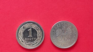 Polska waluta w lutym 1919 roku czekała na nową nazwę. Mało brakowało, a płacilibyśmy "lechami"