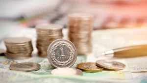 Co dalej z kursem złotego?