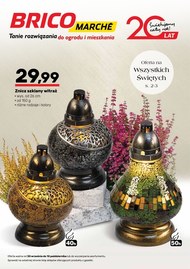Oferta na Święto Zmarłych w Bricomarche!