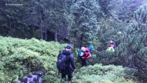 Intensywne poszukiwania kobiety prowadzone są od 10 dni 