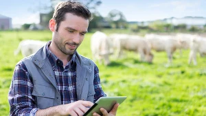 Dopłaty dla rolników są już wypłacane.