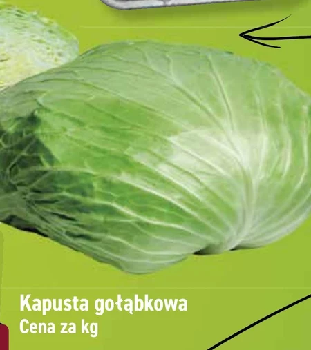 Kapusta