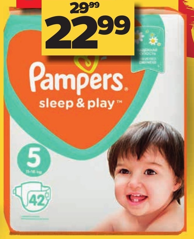 Archiwum Pieluchy Pampers Netto 05 10 10 10 Promoceny Pl Ulotki Promocje Znizki