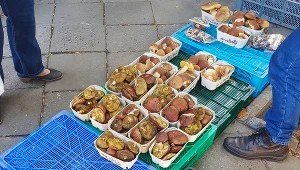 Sprzedaż grzybów na targu (zdjęcie ilustracyjne)