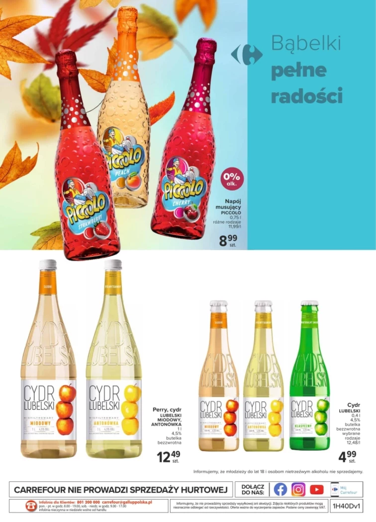 leaflet page preview image