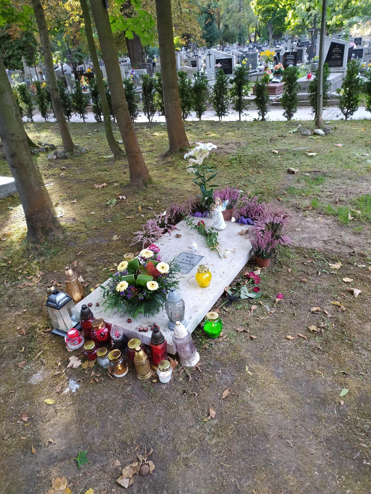 Grób Ewy Demarczyk na Cmentarzu Rakowickim w Krakowie Grób Ewy Demarczyk na Cmentarzu Rakowickim w Krakowie