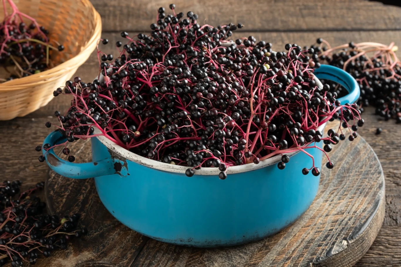 Owoce czarnego bzu gotuj na wolnym ogniu w garnku z grubym dnem i dodatkiem wody, gdyż niezwykle łatwo je przypalić. 