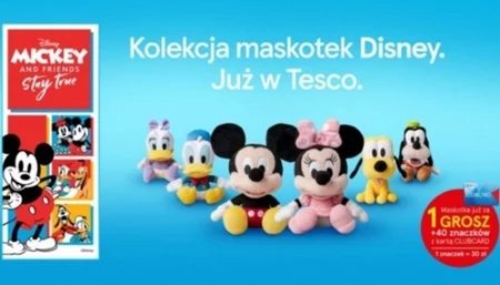 Okładka artykułu