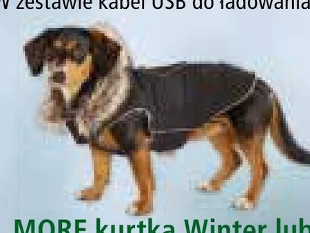 Kurtka dla psa Dogs Creek