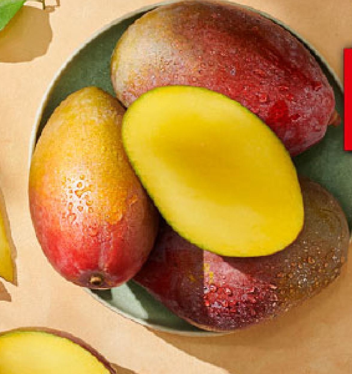 Archiwum Mango Lidl 05. 10. 2020 07. 10. 2020 PromoCeny.pl