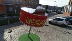 W Szczecinie stanął nietypowy pomnik
