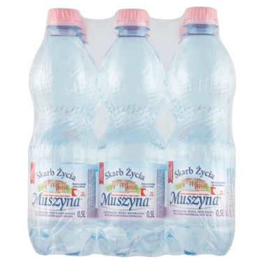 Muszyna Skarb Życia Naturalna woda mineralna wysokozmineralizowana niegazowana 9 x 500 ml - 1