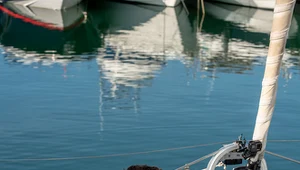 Tuz przed finałem show nie brakuje romantycznych chwil