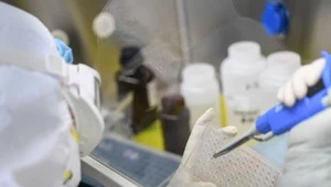 Koszt ekonomiczny rozszerzenia restrykcji sanitarnych na cała Polskę może być znaczący 